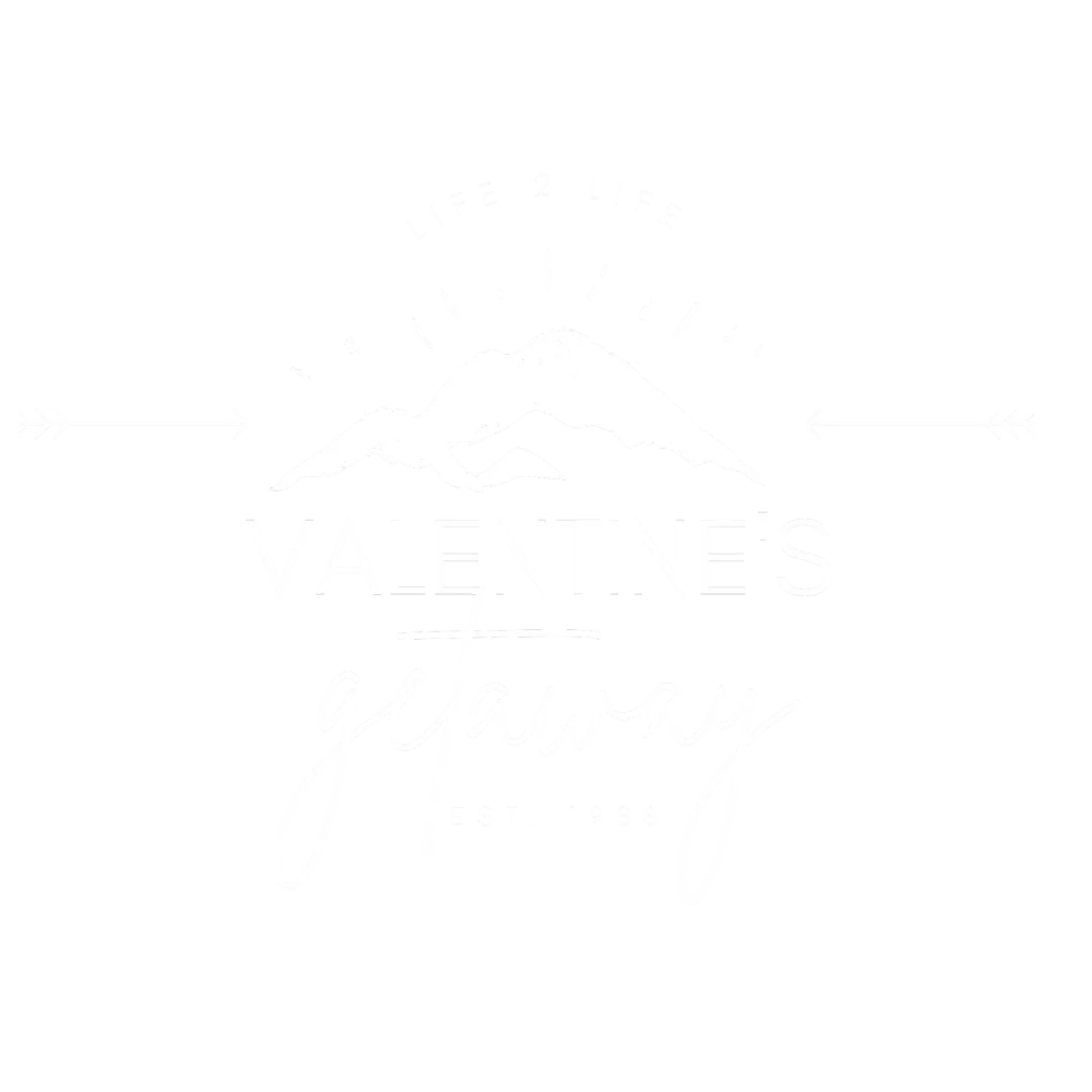 Life 2 Life Valentine's Getaway Est. 1988